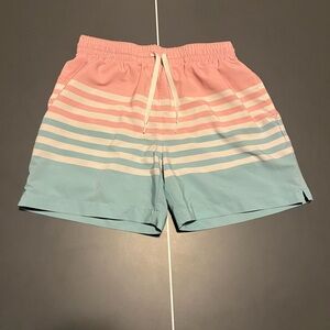 Colorful Chubbies Swim Shorts